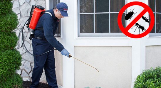 Alaçatı Bit İlaçlama böcek ilaçlama ve haşere kontrolü — ilaclama-tr.com